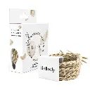Haargummis beige - Bellody (4 Stück - Champagner Beige)