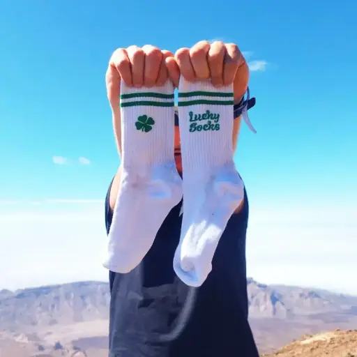 [PS41-3644-LS] Sokken lucky socks